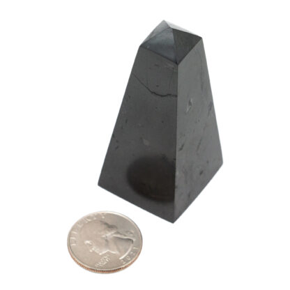 Shungite Tower (2.5-3") - Image 4