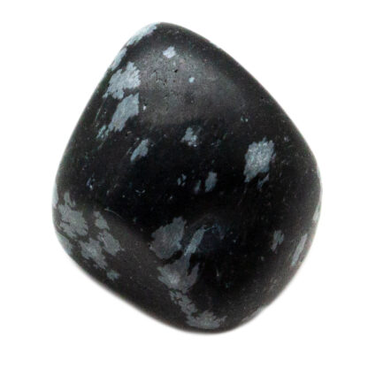 Snowflake Obsidian Tumbled Stone(10-20mm)