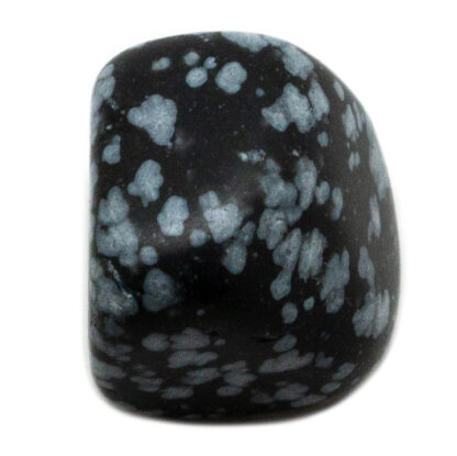 Snowflake Obsidian Tumbled Stone(10-20mm) - Image 2