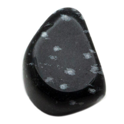 Snowflake Obsidian Tumbled Stone(10-20mm) - Image 3