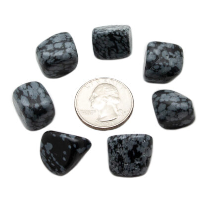 Snowflake Obsidian Tumbled Stone(10-20mm) - Image 4