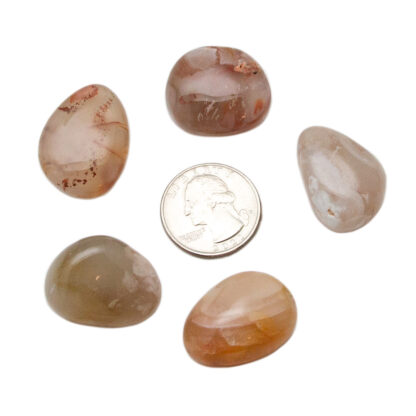 Flower Agate Tumbled Stone (20-30mm) - Image 5