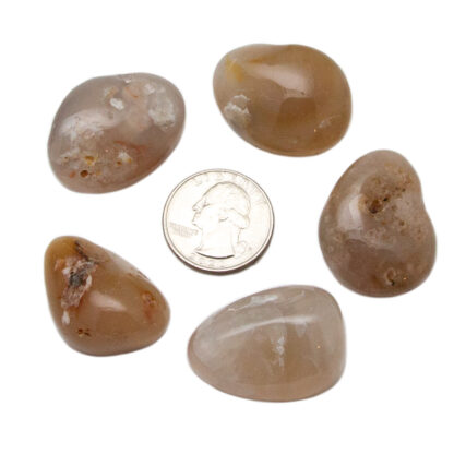 Flower Agate Tumbled Stone (30-40mm) - Image 4