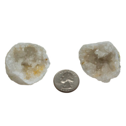 White Calcite Geode Pair (1.25-2") - Image 4