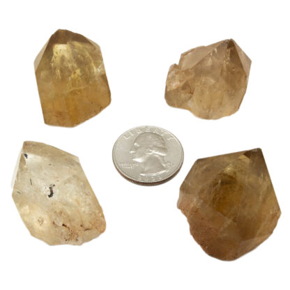 Kundalini Citrine Point (1-1.5") - Image 7