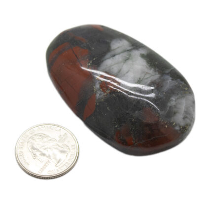 African Bloodstone Palm Stone (2.5-3 inches) - Image 3